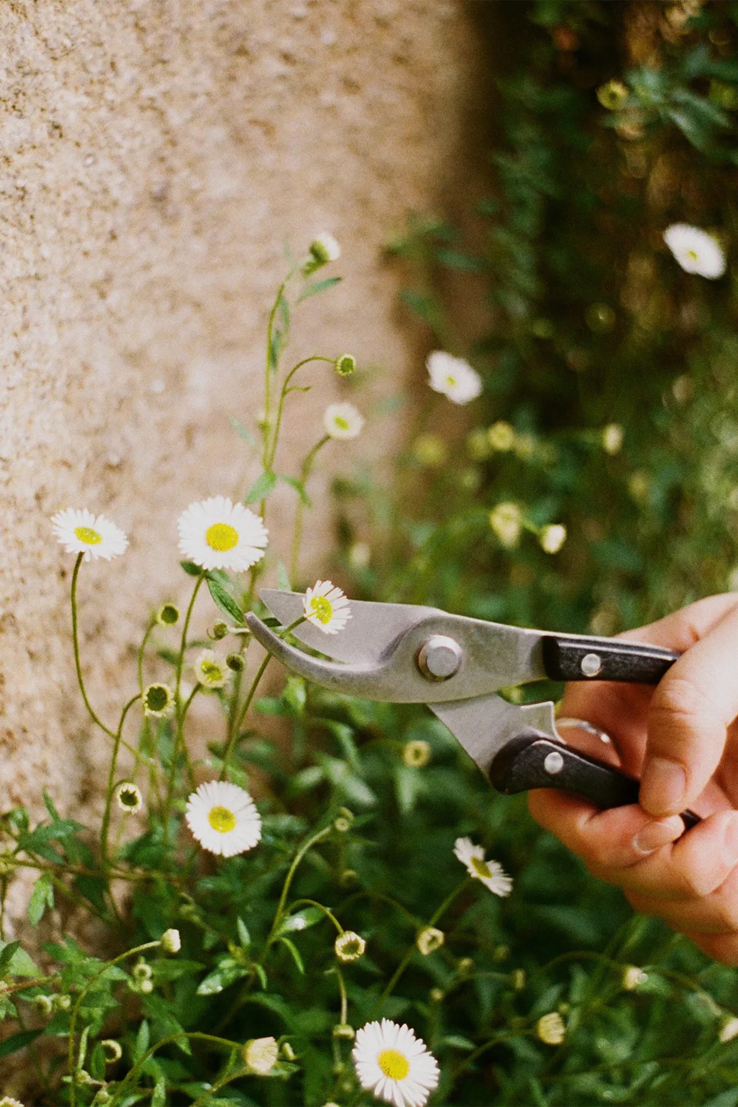 Gardening tools