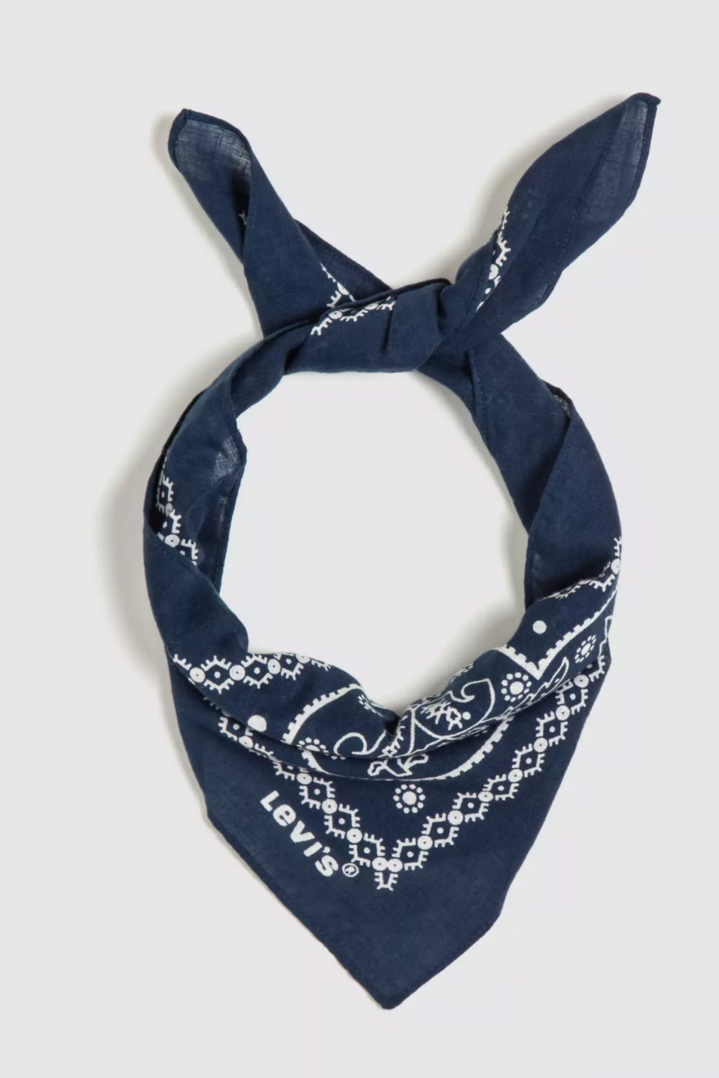 Paisley Bandana