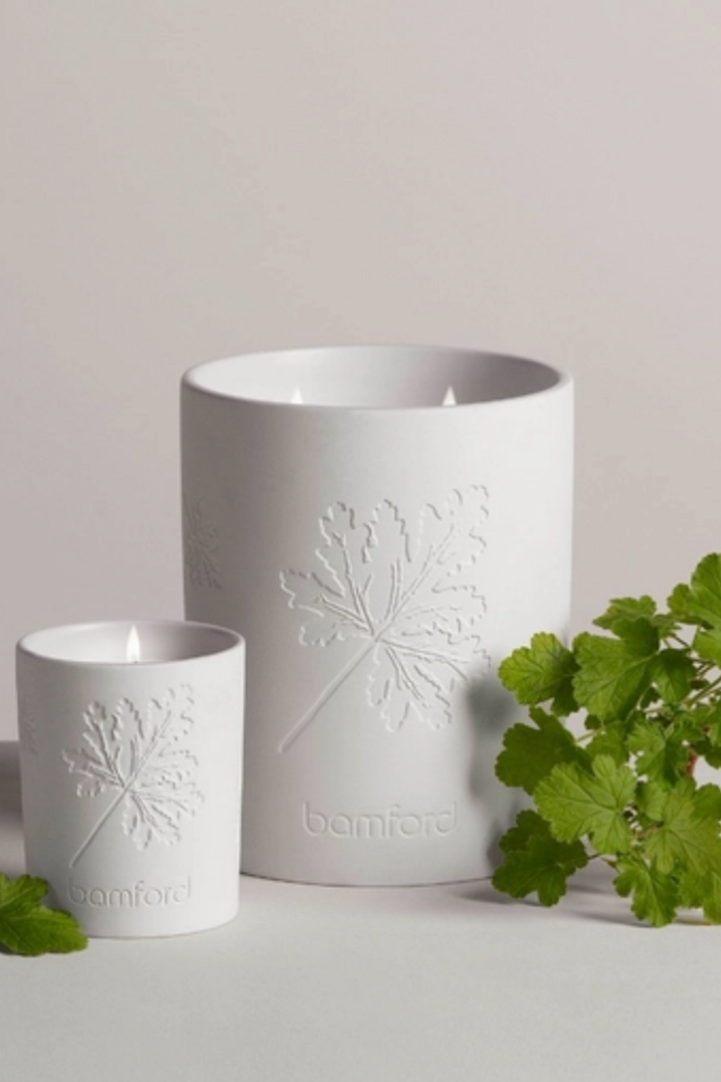 Graveolens Geranium Candle