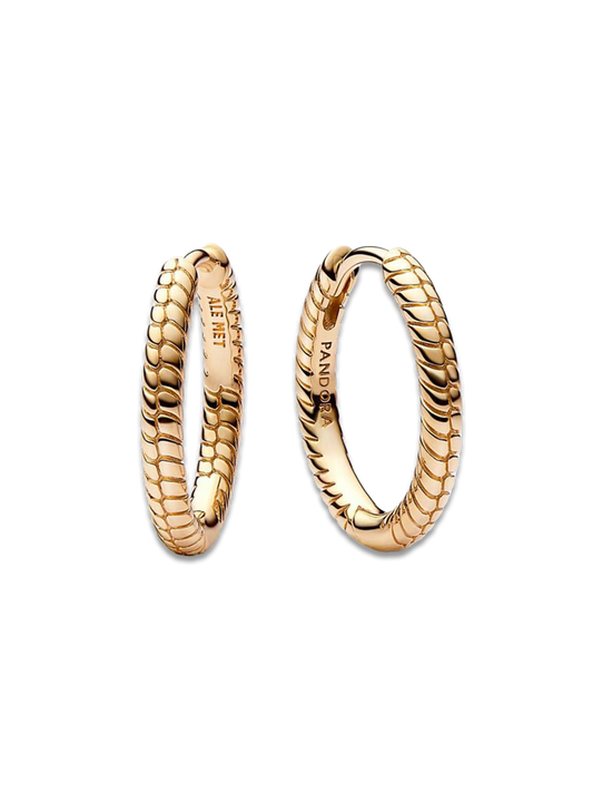 Small Charm Hoop Earrings