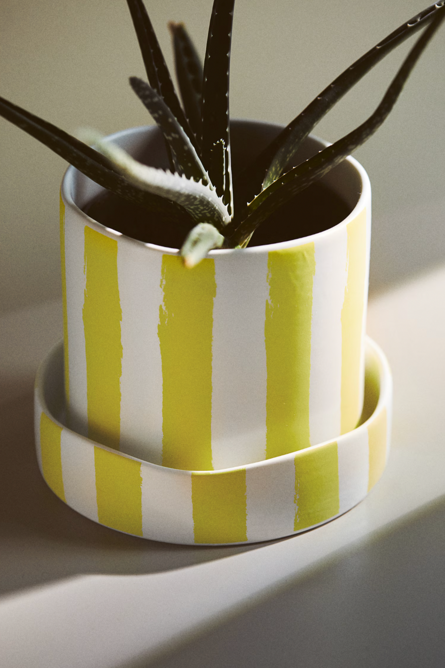 Patterned Plant Pot and Saucer