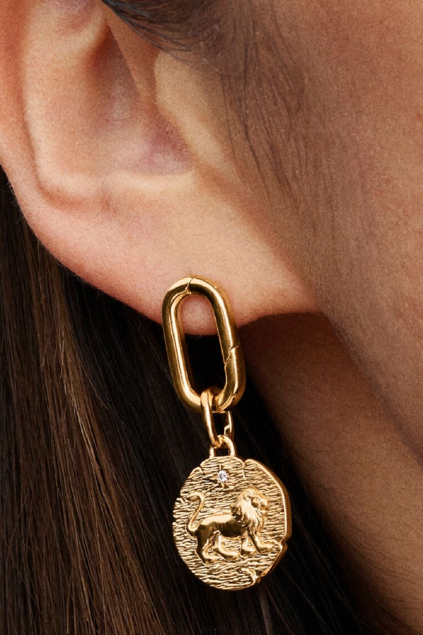 Lion Medallion Charm