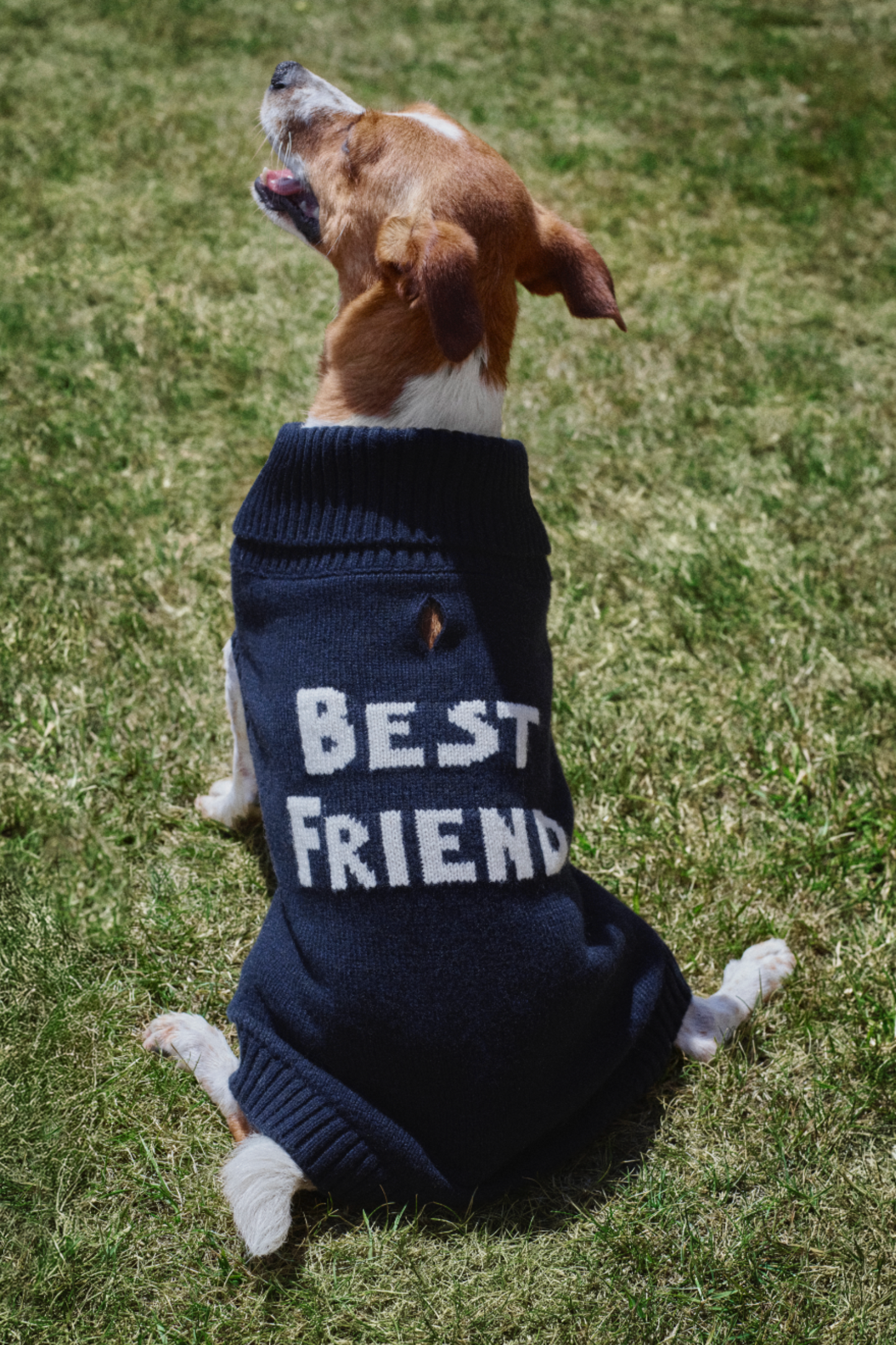 Dog Jumper Navy