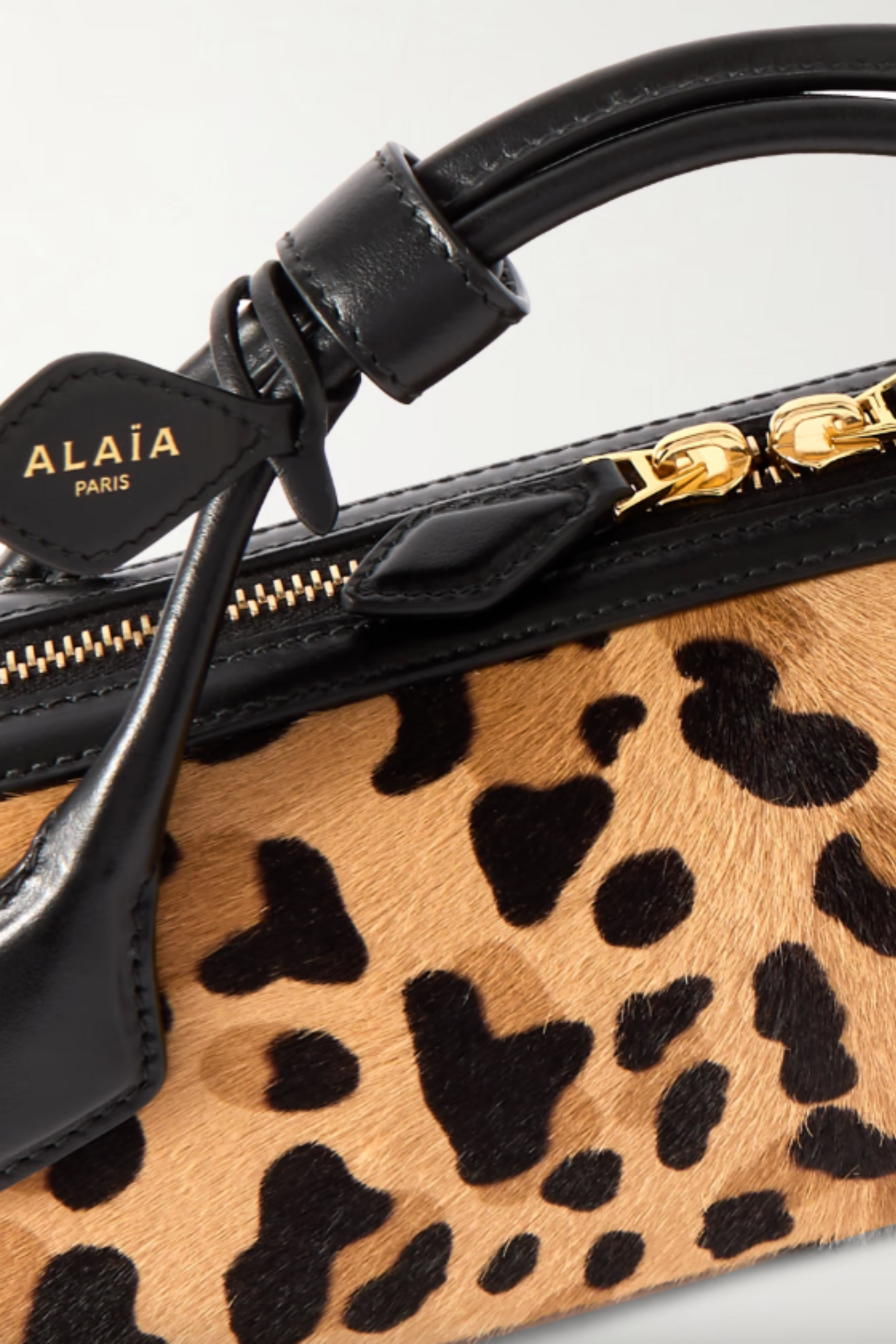 Le Teckel Leather-Trimmed Leopard-Print Calf Hair Clutch