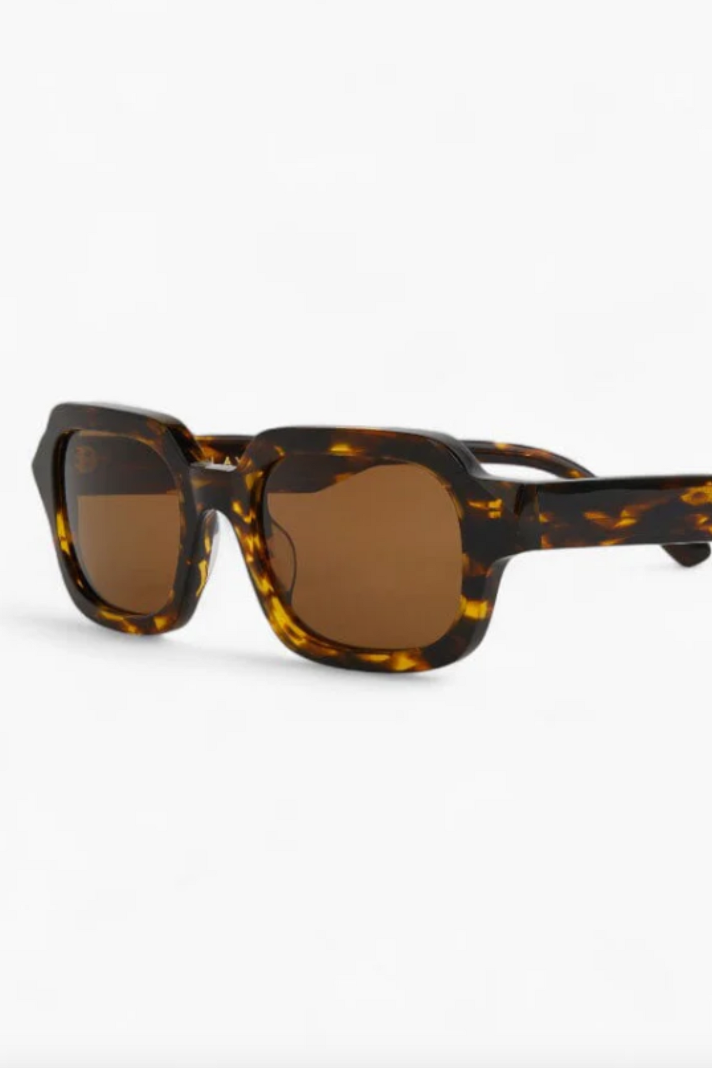 Harley Sunglasses