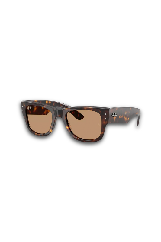 0RB0840 54 Sunglasses