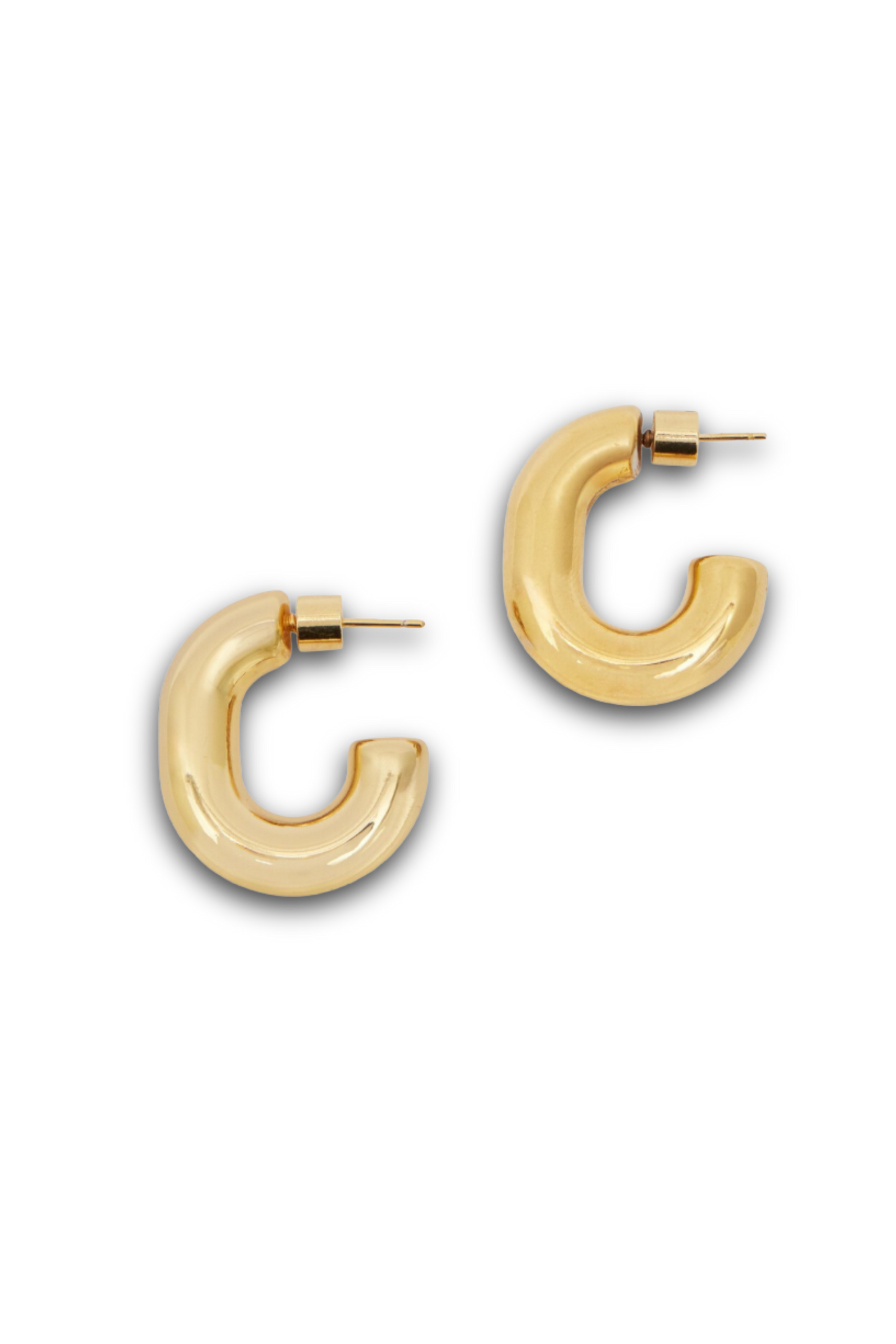 Chubby Hoop Earrings