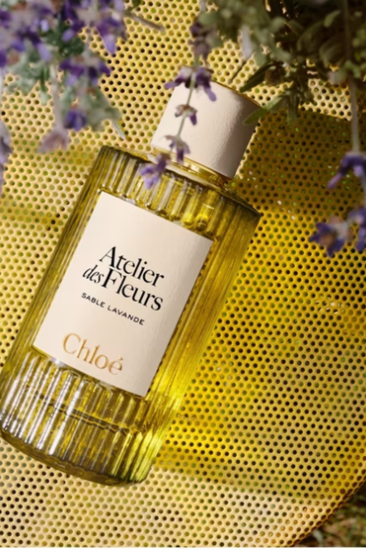Atelier des Fleurs Plage du Figuier Eau de Parfum