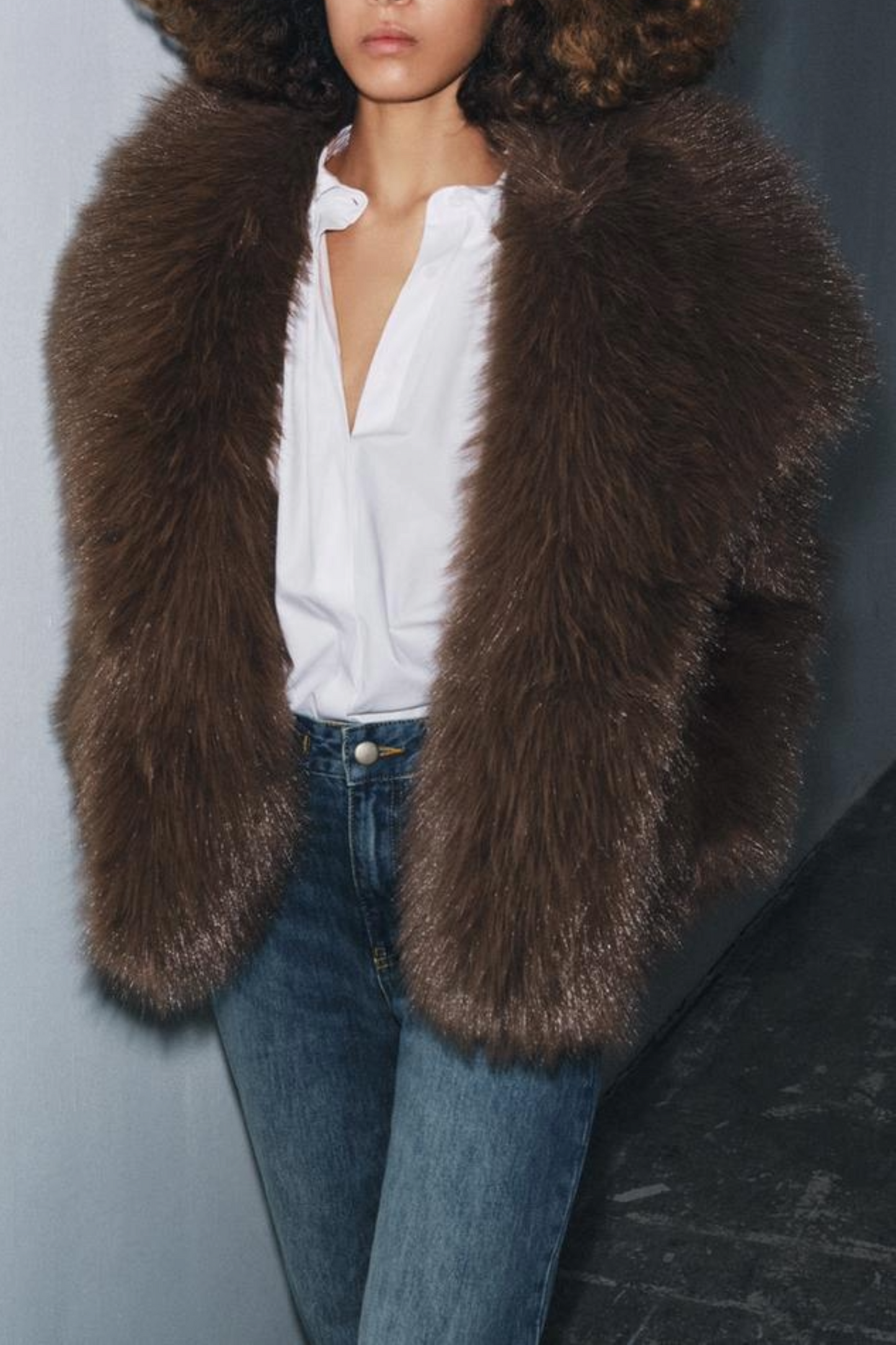 Short Faux Fur Coat ZW Collection