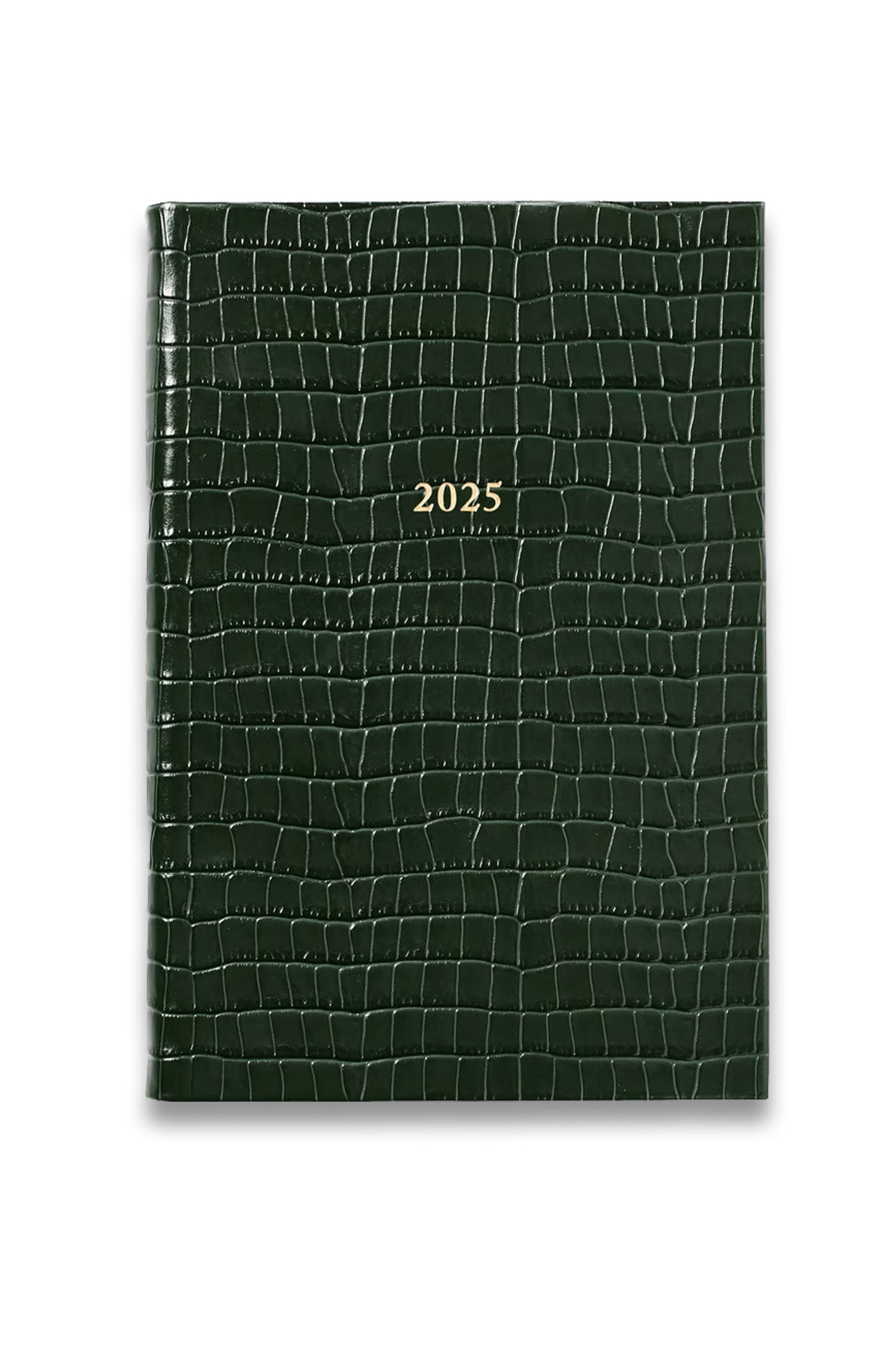 2025 A5 Day to Page Leather Diary