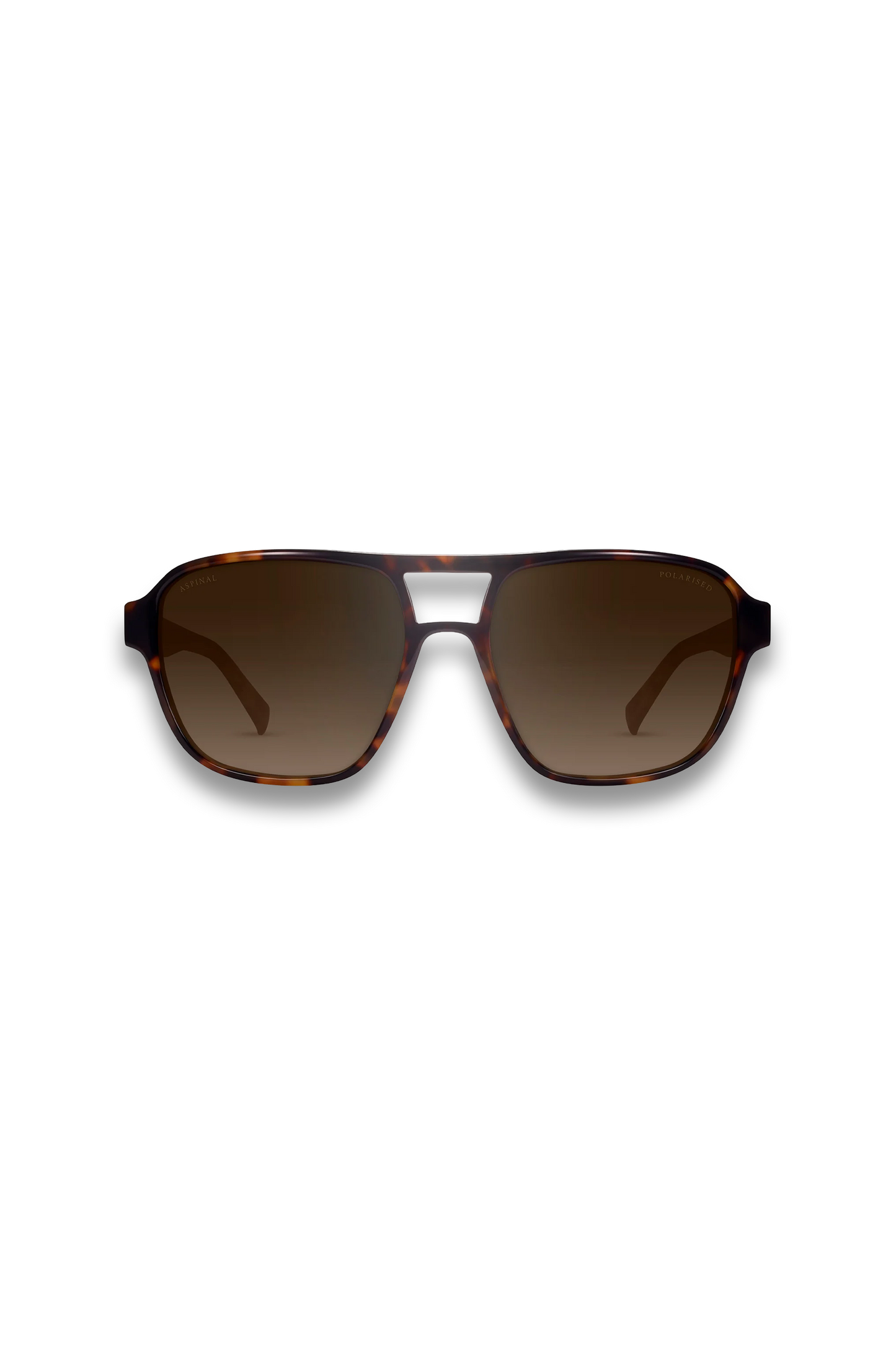 St Barts Aviator Sunglasses