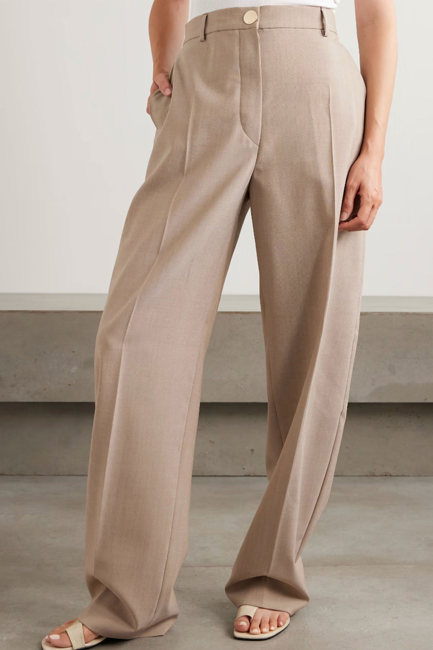 Salvo Pleated Grain de Poudre Wool Wide-leg Pants