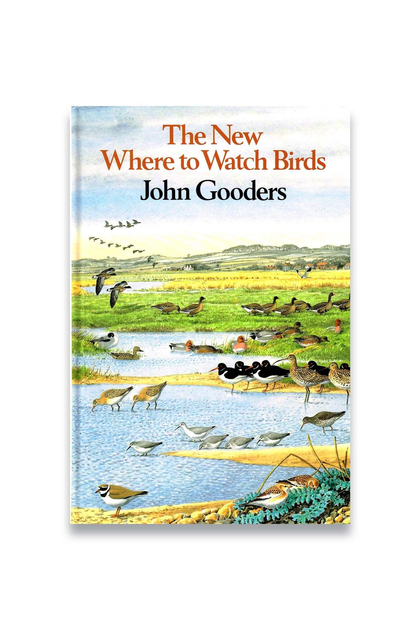 The New Where To Watch Birds