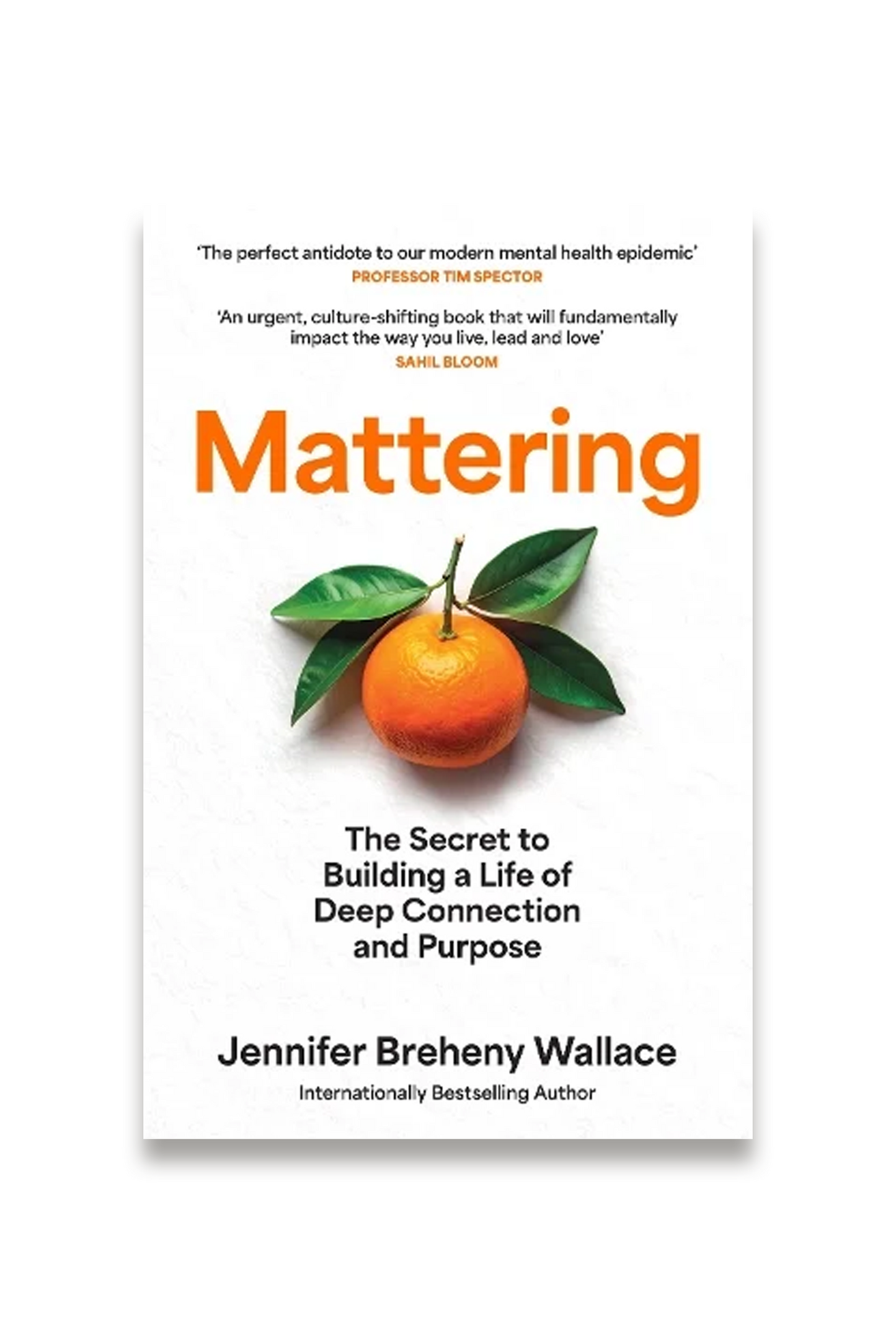 Mattering: The Secret to Building a Life of Deep Connection and Purpose (Hardback)