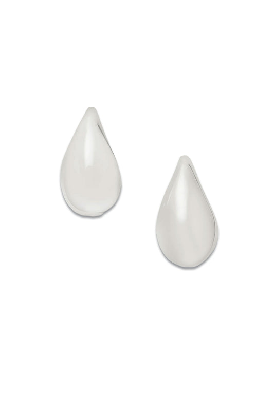 Silver-Tone Earrings