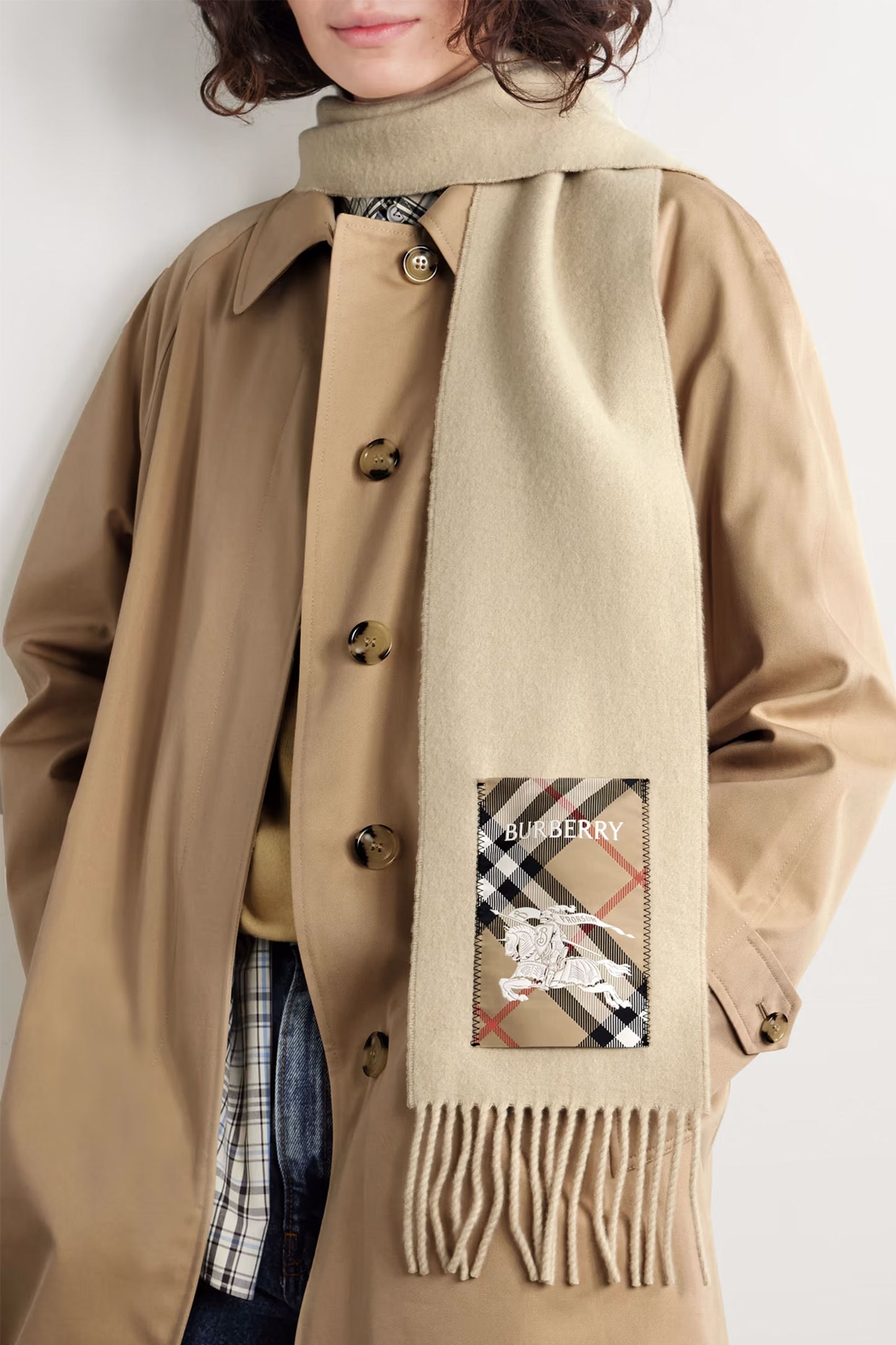 Fringed Appliquéd Cashmere Scarf