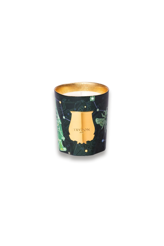 Fir Limited Edition Scented Candle