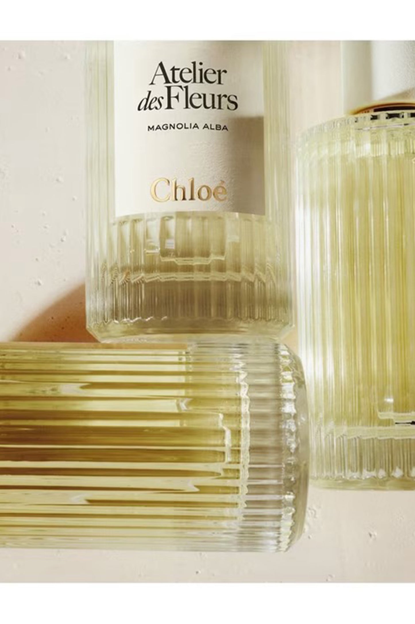 Atelier des Fleurs Cedrus Eau de Parfum 50ml