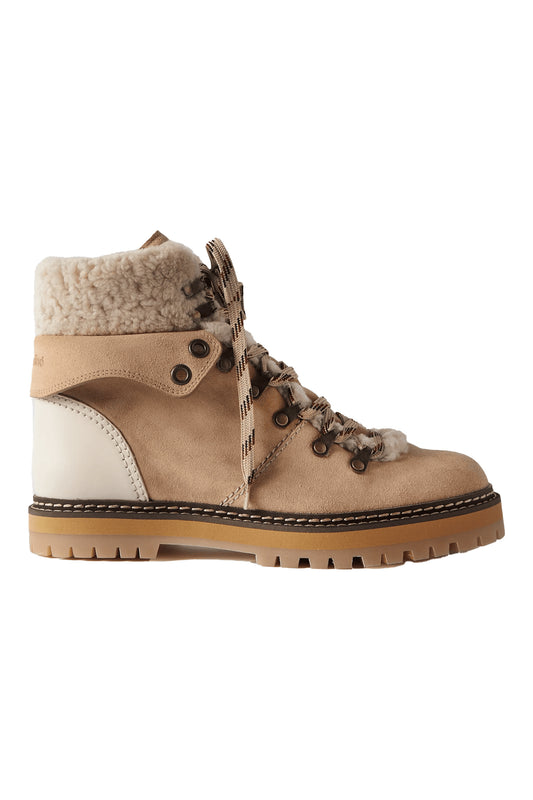 Eilieen Shearling-lined Suede And Leather Ankle Boots