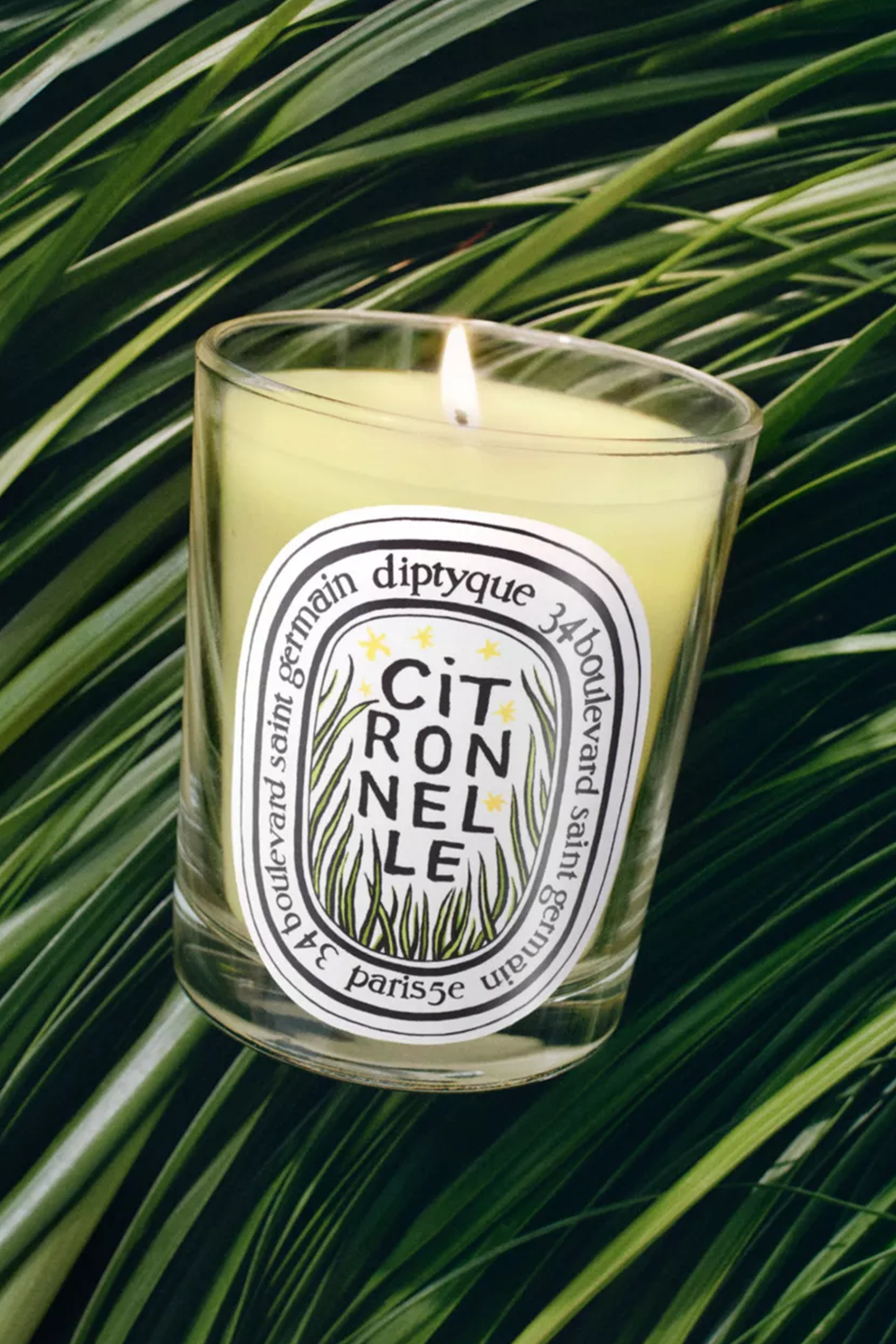 Citronelle Classic Scented Candle 190g