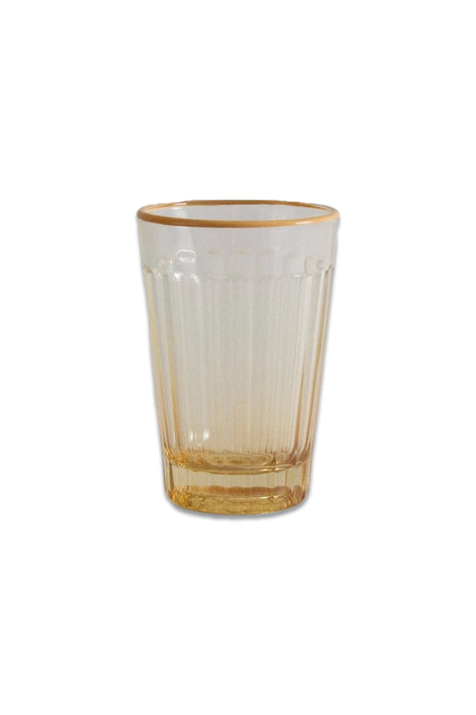 Yellow Coloured Rim Tumbler