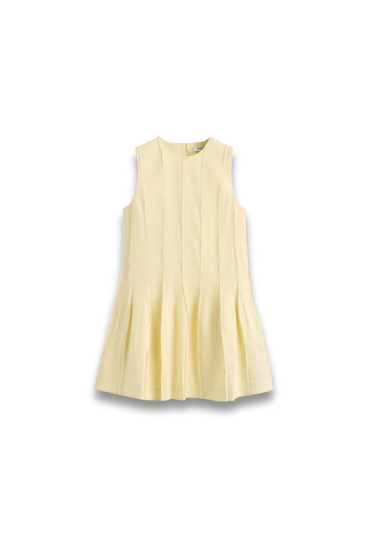 Sculpted Pleated Mini Dress