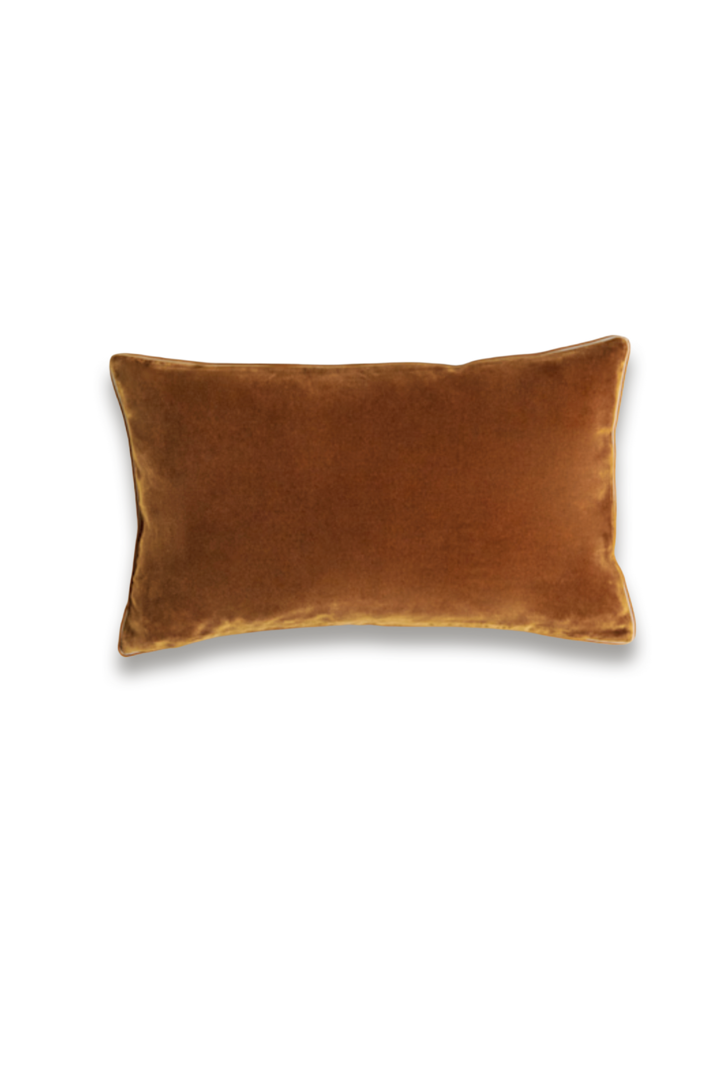 Velvet Edition Cushion