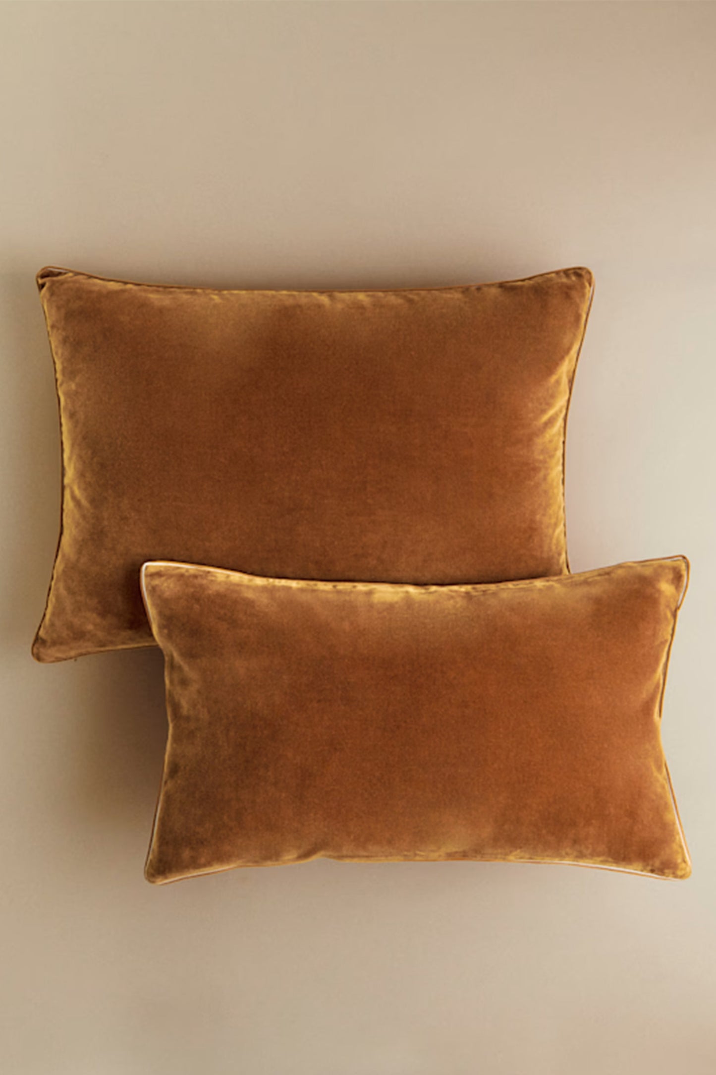 Velvet Edition Cushion