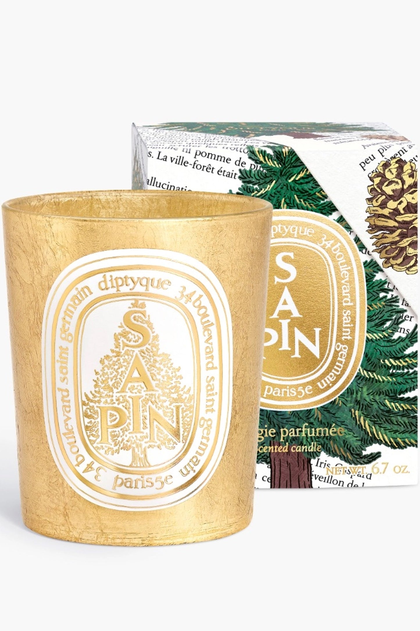 Sapin (Pine Tree) Classic Candle