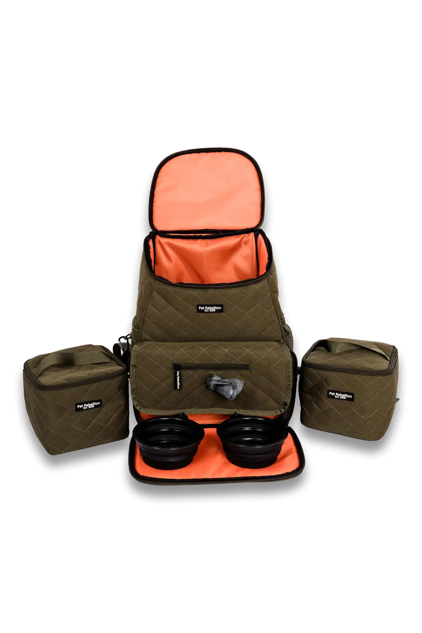 Pet Travel Backpack