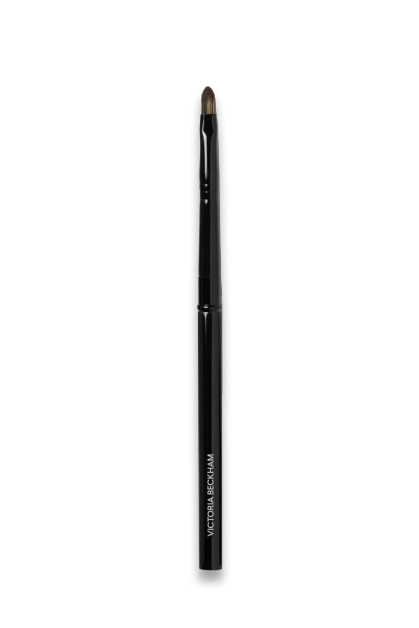 30. Detailed Lip Brush