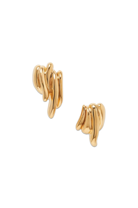Gold-tone Earrings