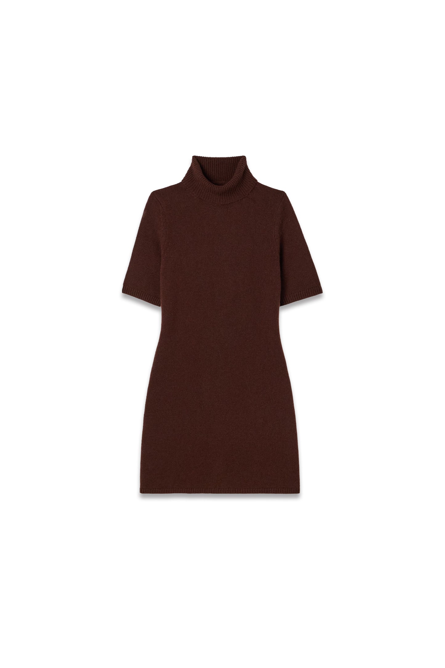 Agathe Cashmere Turtleneck Mini Dress