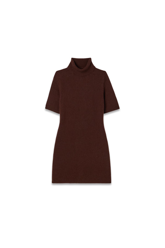Agathe Cashmere Turtleneck Mini Dress