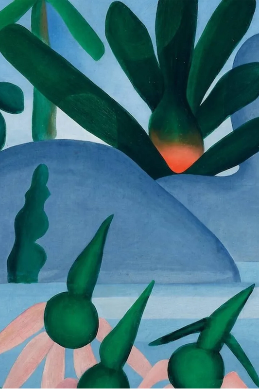 Brasil! Brasil! The Birth of Modernism