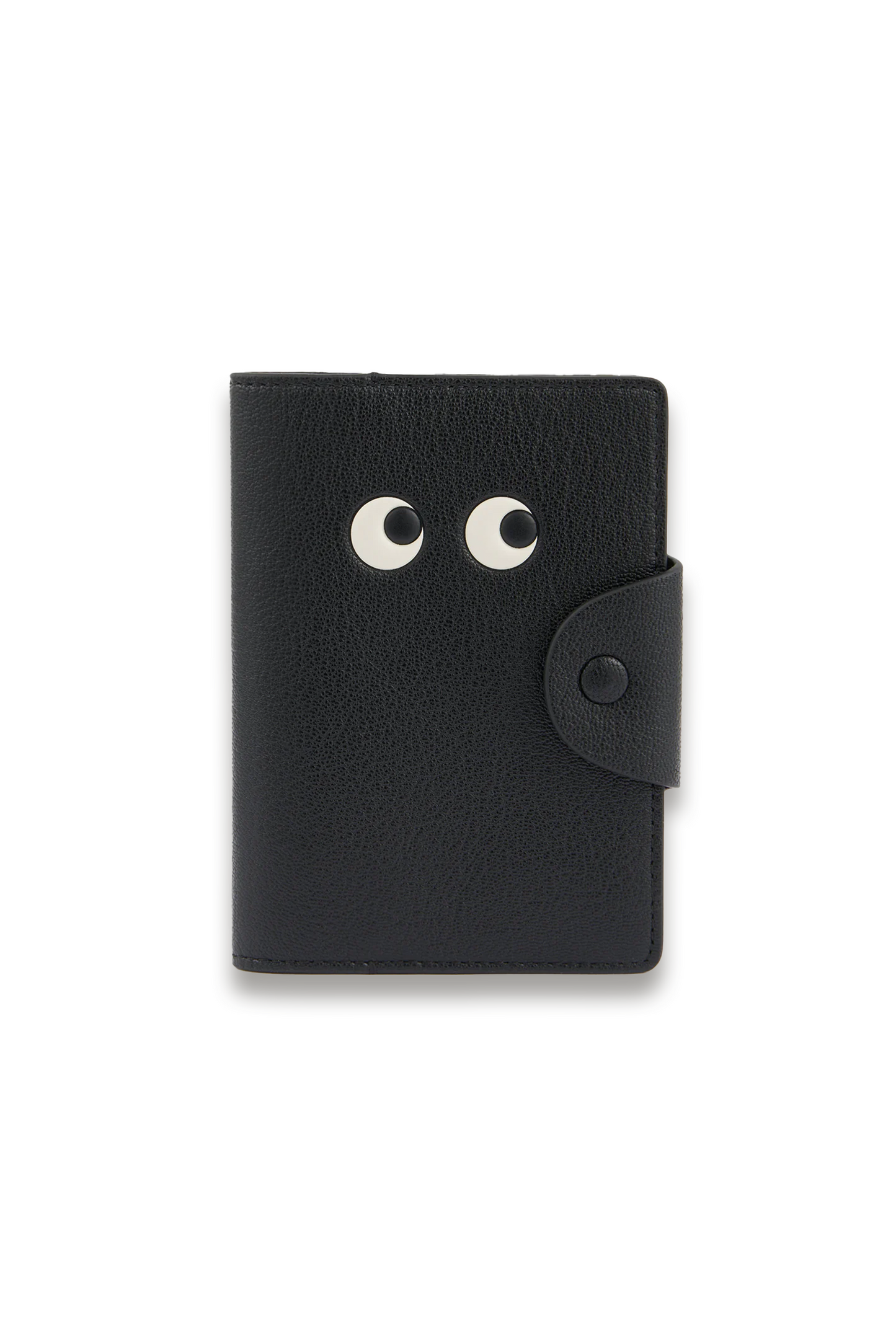 Eyes Passport Case