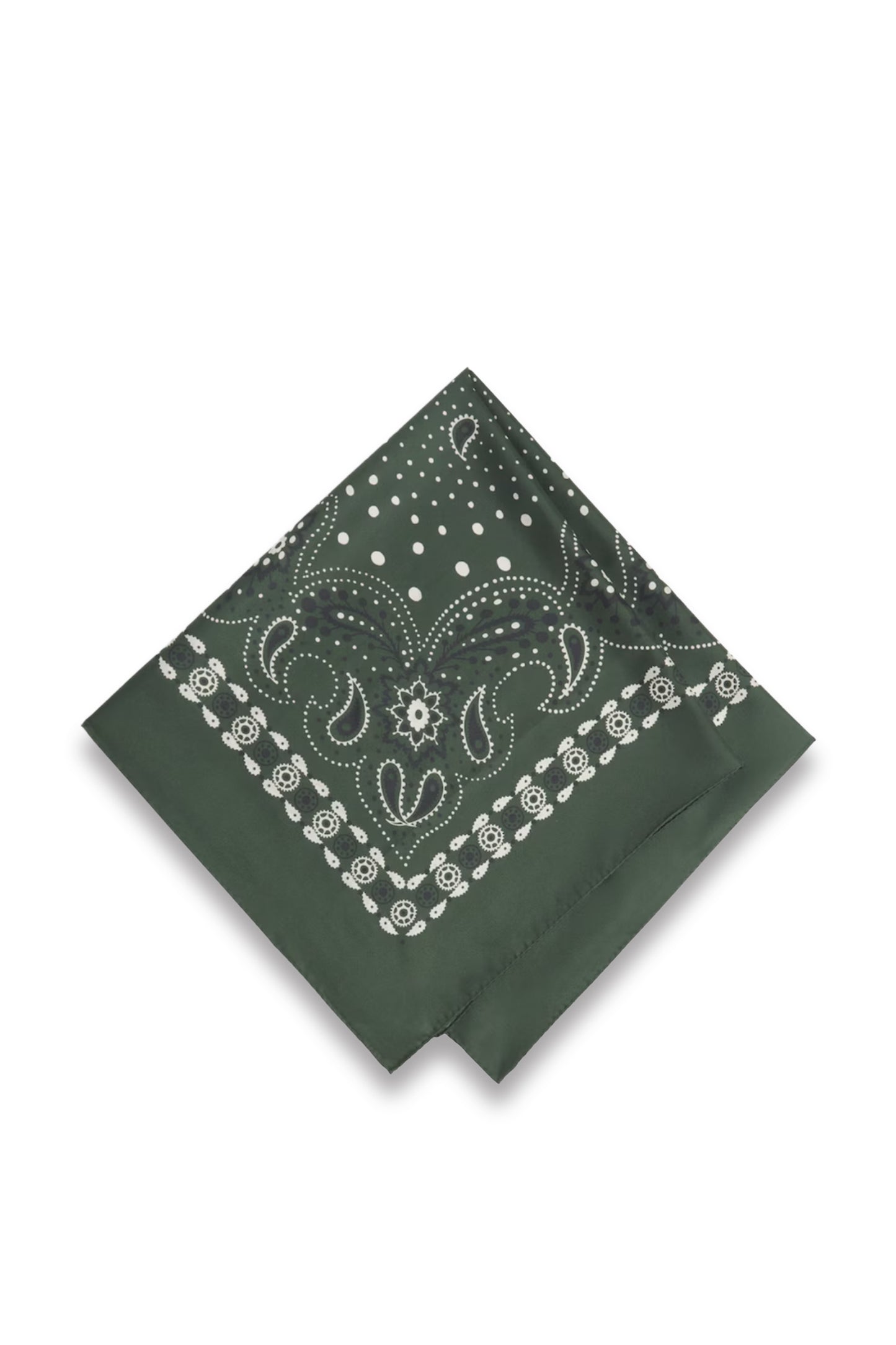 Green Silk Paisley Print Scarf