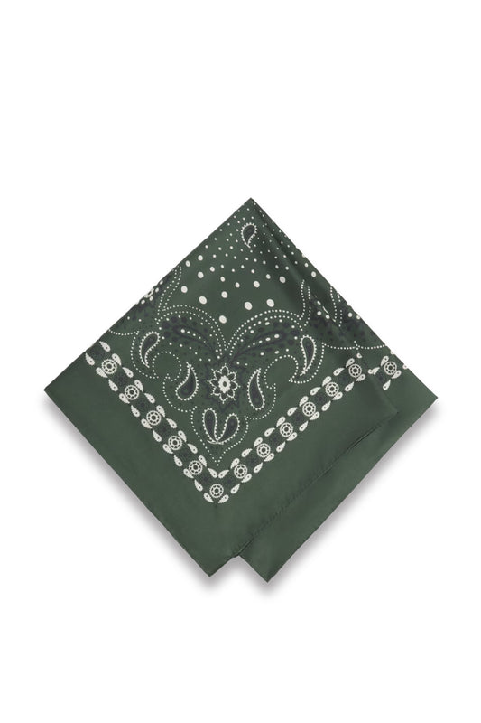Green Silk Paisley Print Scarf