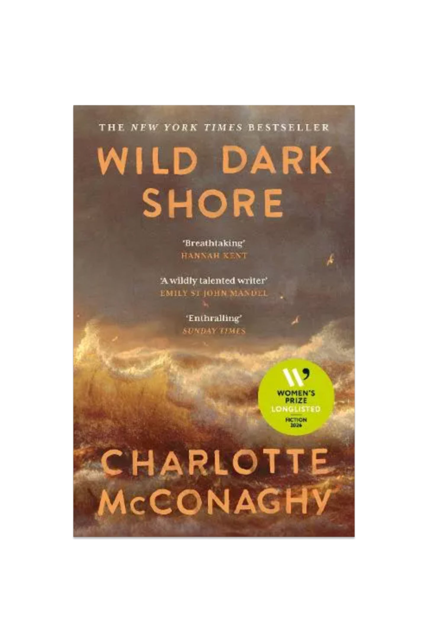 Wild Dark Shore by Charlotte McConaghy