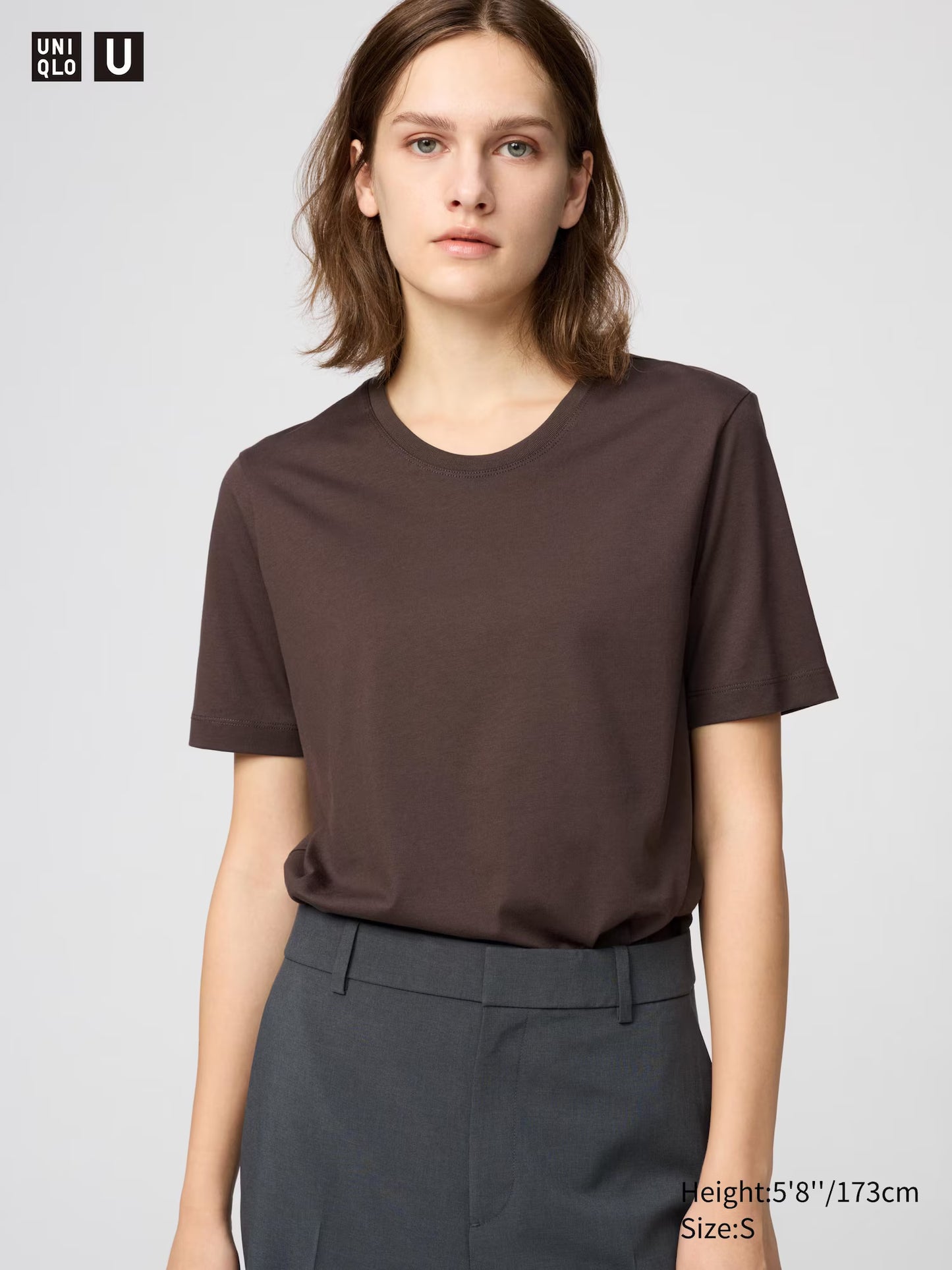 100% Supima Cotton T-Shirt in Dark Brown