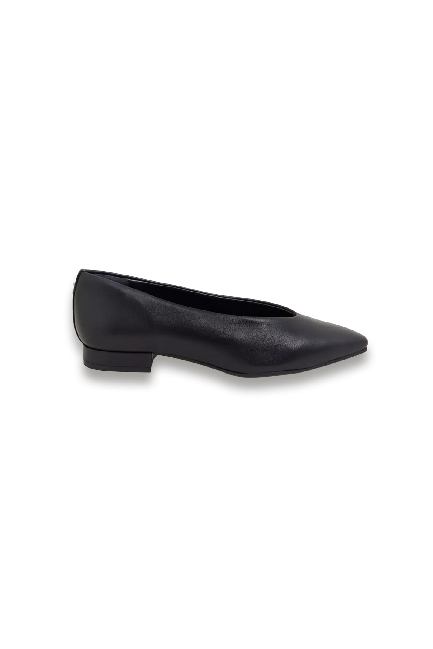 Asher Leather Ballerinas