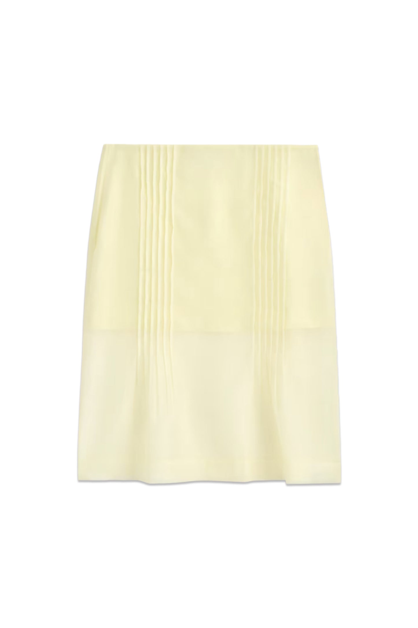 Sheer Pintucked Skirt