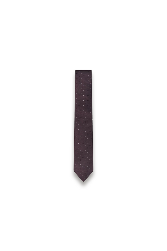 Liam Polka Dot Silk Tie in Burgundy