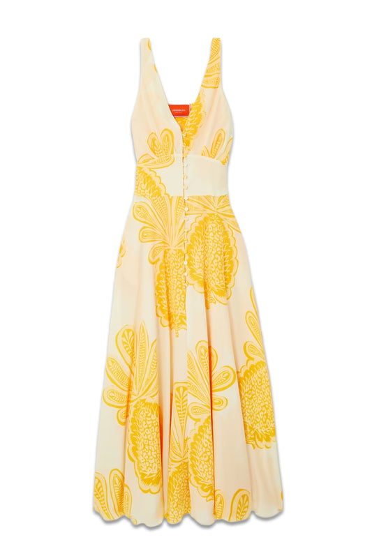 Printed Silk Crepe De Chine Maxi Dress