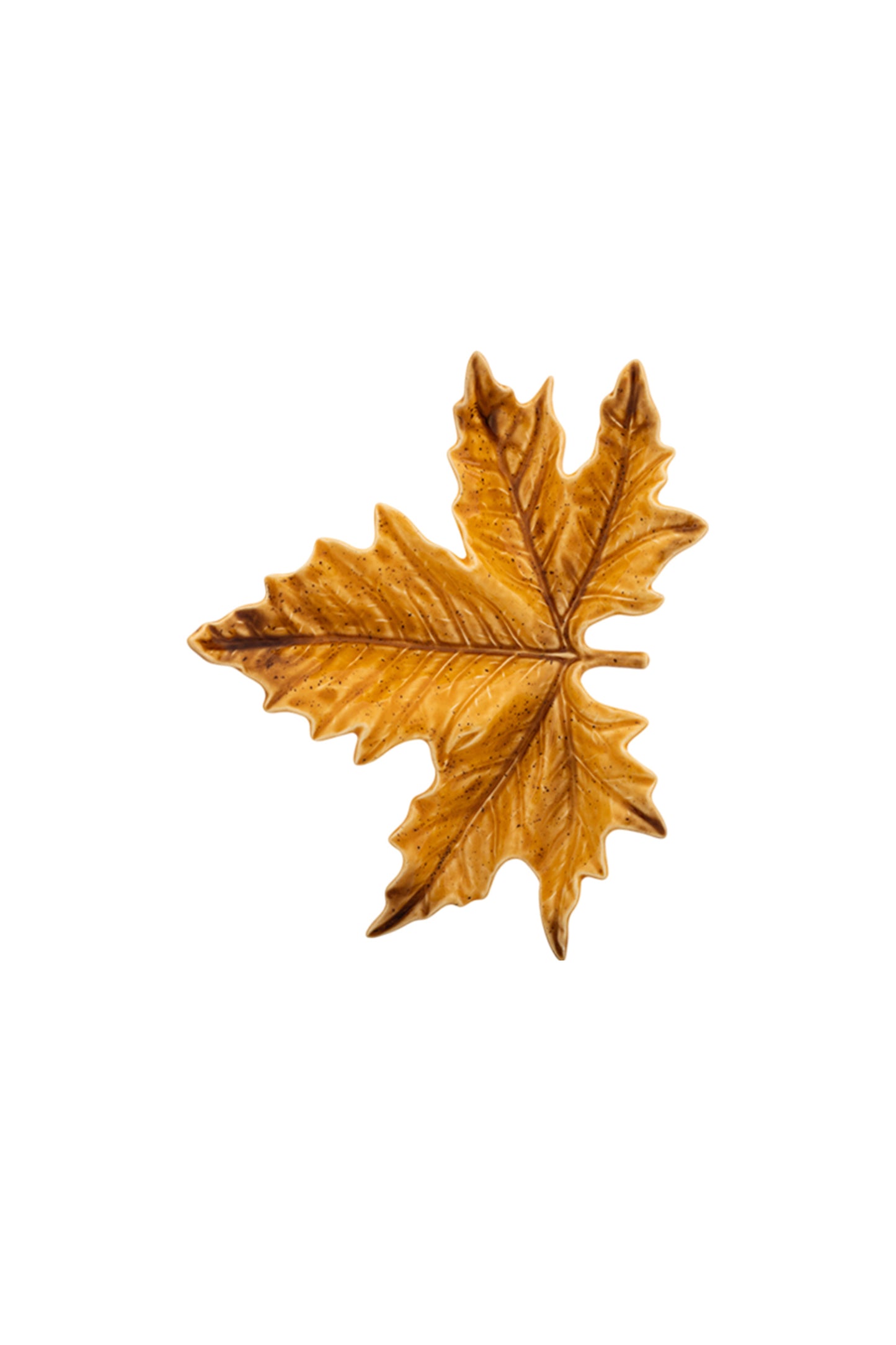 Small Sycamore Leaf