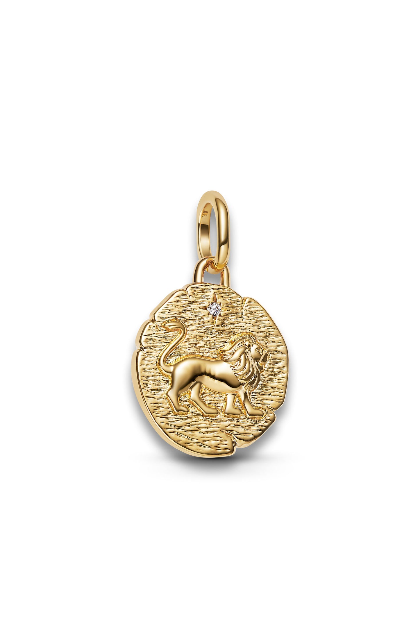 Lion Medallion Charm