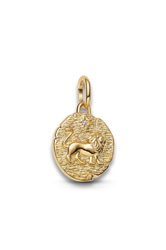 Lion Medallion Charm