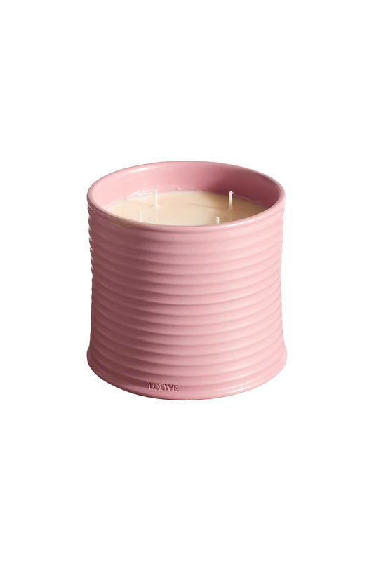 Ivy Large Scented Candle, 2120g