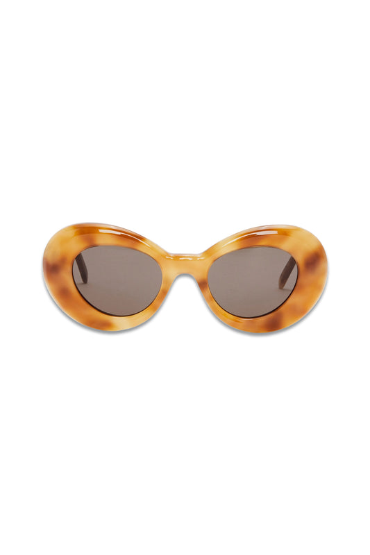 Wing Sunglasses In Acetate