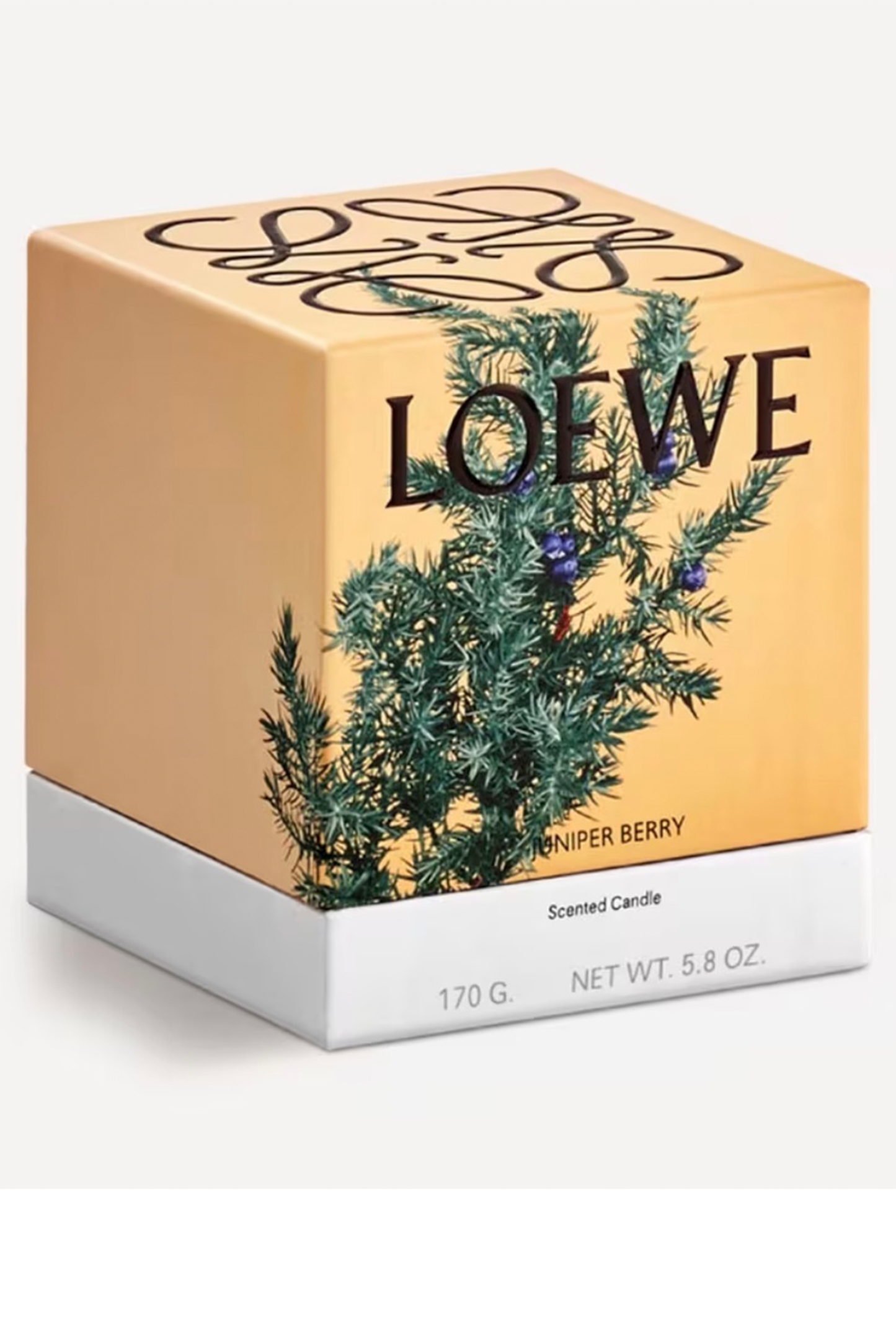 Small Juniper Berry Candle 170g